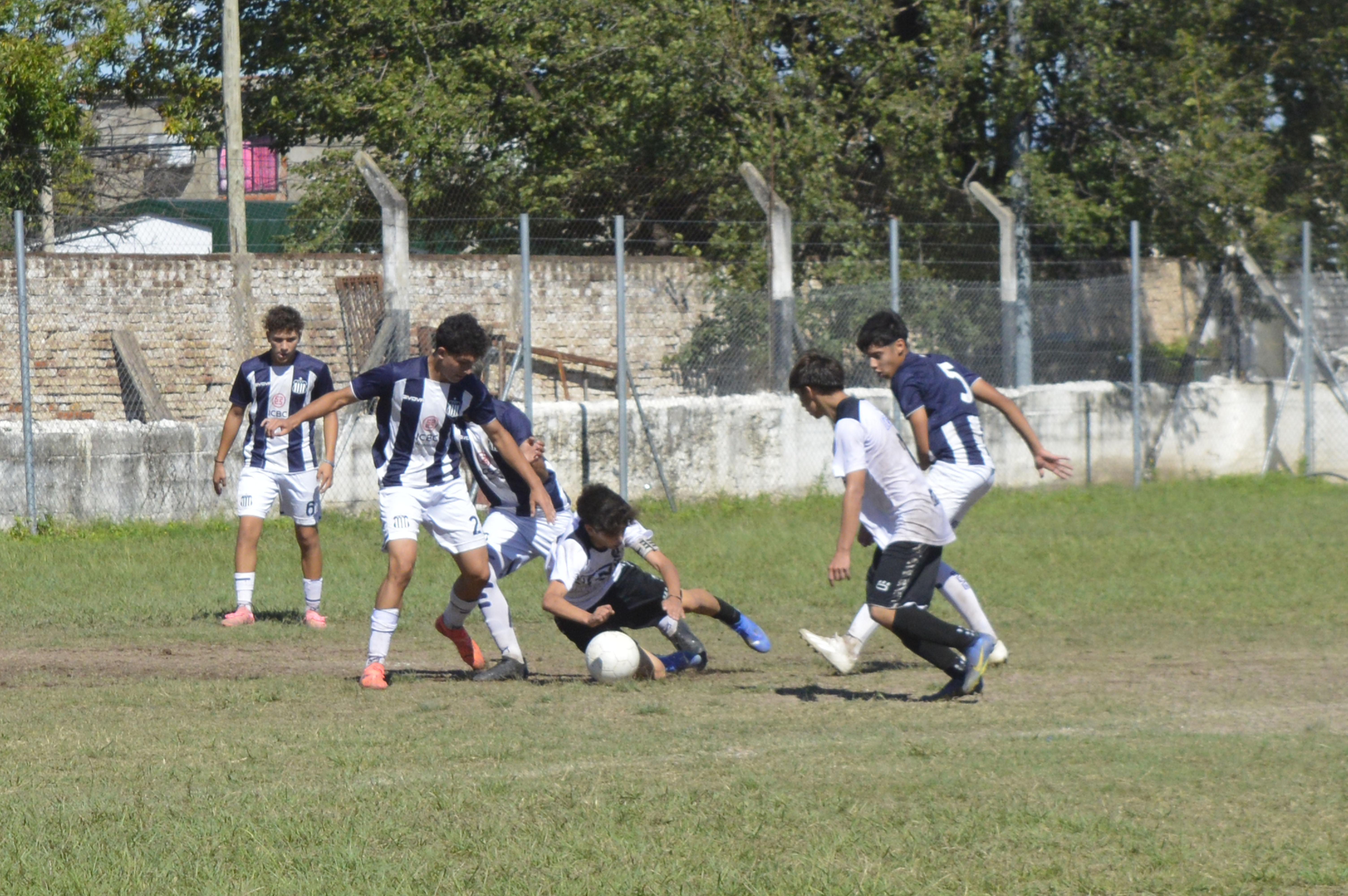 Imagen 2